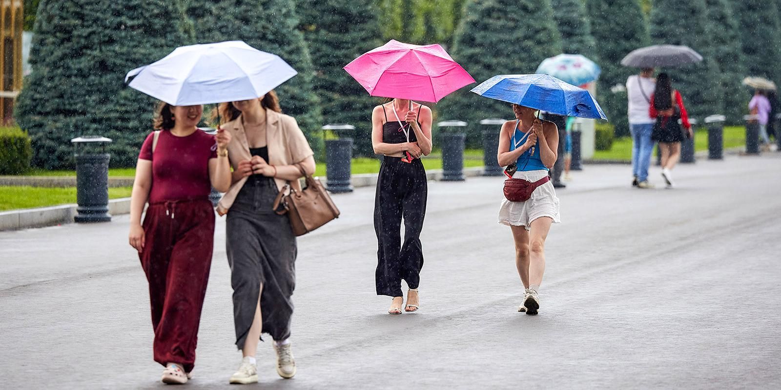 «Желтый» уровень опасности из-за ветра объявлен в Москве до вечера вторника