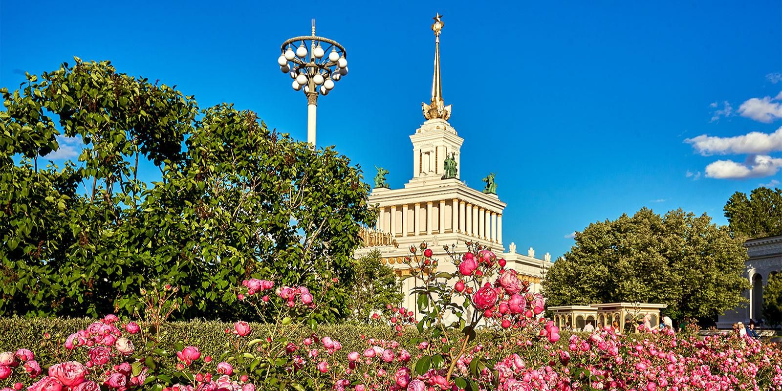 Уличная фотовыставка «Экология в деталях» открылась на Центральной аллее ВДНХ