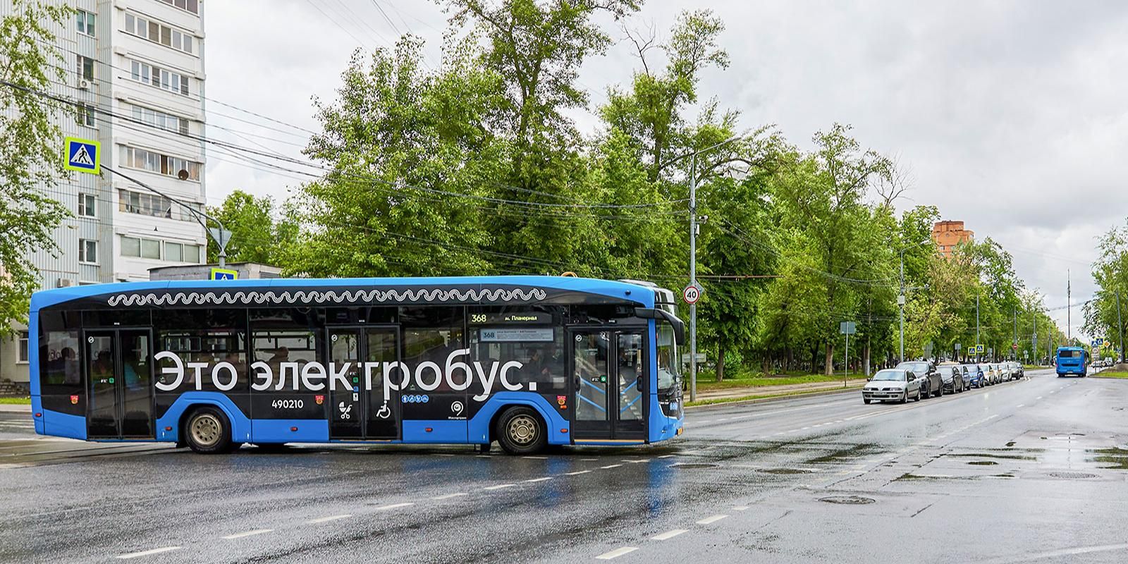 Свыше 50 тыс. поездок совершено на бесплатных автобусах до кинопарка «Москино»