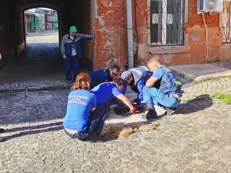 Чтобы достать утят, пришлось поднимать решетку водостока. Фото: ОПСО "СпасРезерв"