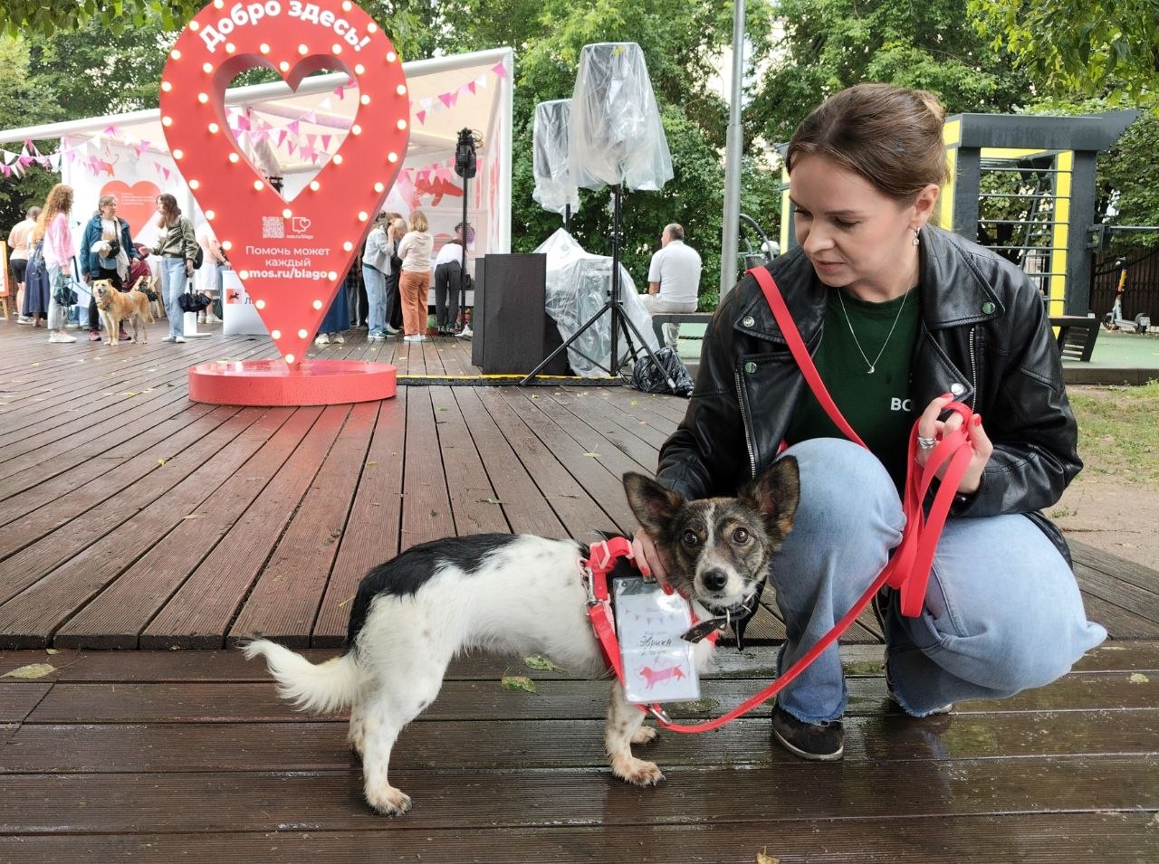 Эврика ищет семью. Фото: Мосинформ