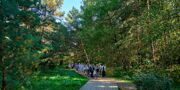 Занятия по лесотерапии стартовали в «Московском долголетии»