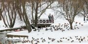 Синоптик Тишковец: Высота сугробов в столице к выходным уменьшится до 20–22 см