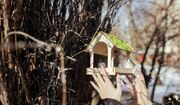 Сергунина: Волонтерский корпус для помощи орнитологам создадут в Москве