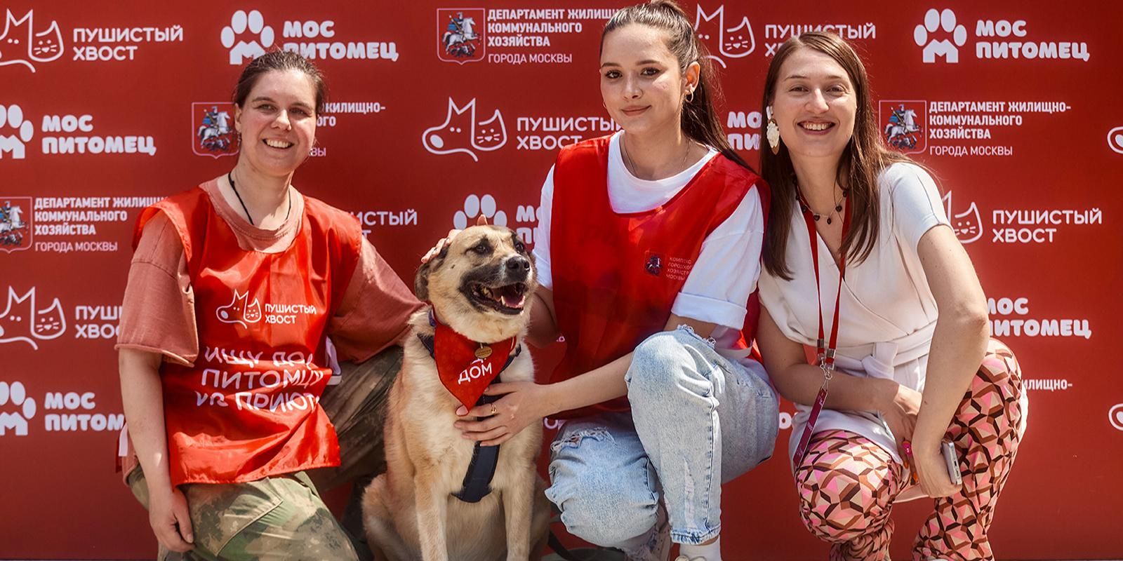 Выставка-пристройство животных «Пушистый хвост» пройдет в Измайловском парке