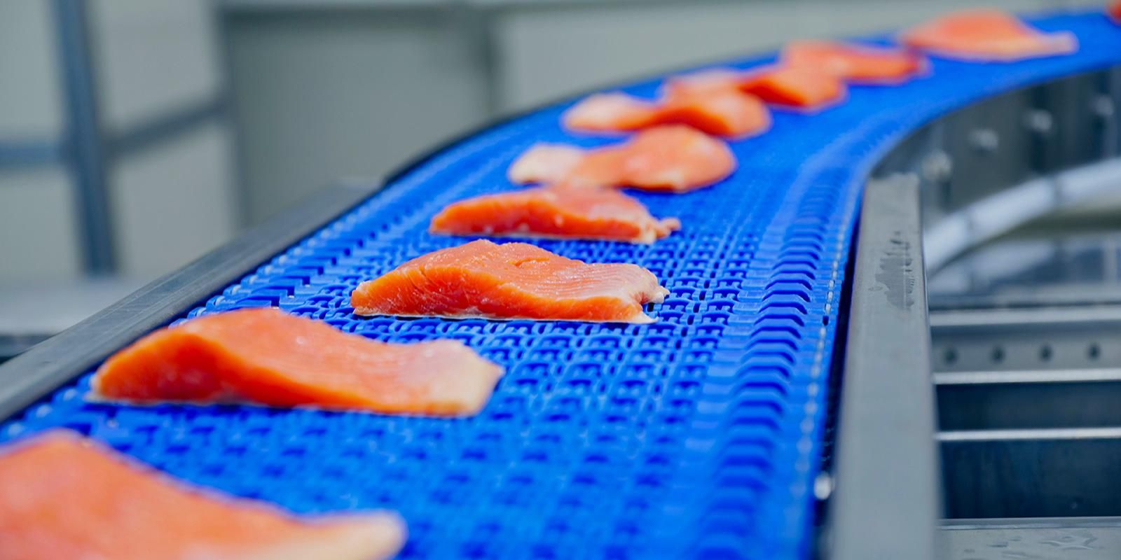 Более 11 тыс. т морепродуктов отгрузило столичное предприятие в первом полугодии в российские регионы