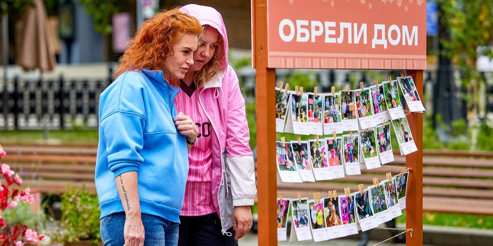 Свыше 65 кошек и собак нашли новую семью на фестивале «Моспитомец × Четвероногий друг»