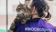 Сбор помощи для животных из приютов Белгородской области открылся в столице