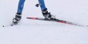 Спортсмены спортивной школы олимпийского резерва «Юность Москвы» выиграли медали Спартакиады