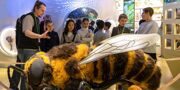 Обзорную экскурсию по павильону № 28 «Пчеловодство» на жестовом языке подготовили в «Биокластере»
