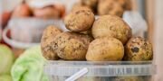 Участница московской ярмарки отправляет овощи бойцам СВО