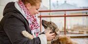 Москвичи выбрали темы новых лекций для «Школы ответственного хозяина» на ВДНХ
