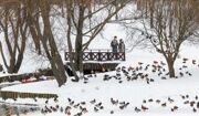 Облачная погода и до 2 градусов тепла ожидаются в Москве 4 марта
