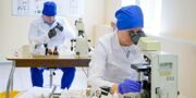 Десять лучших ветврачей столицы встретятся в финале конкурса «Московские мастера»