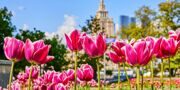 Собянин поздравил жителей Москвы с Праздником Весны и Труда