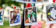 Амбассадора сервиса «Моспитомец» выбирают среди животных городских приютов
