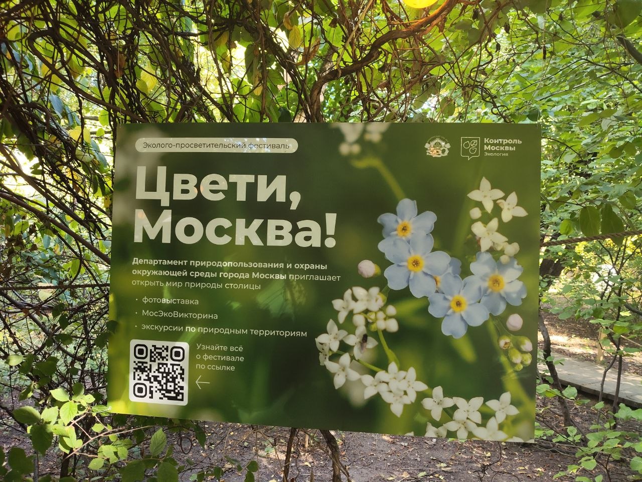 Фото: Мосинформ