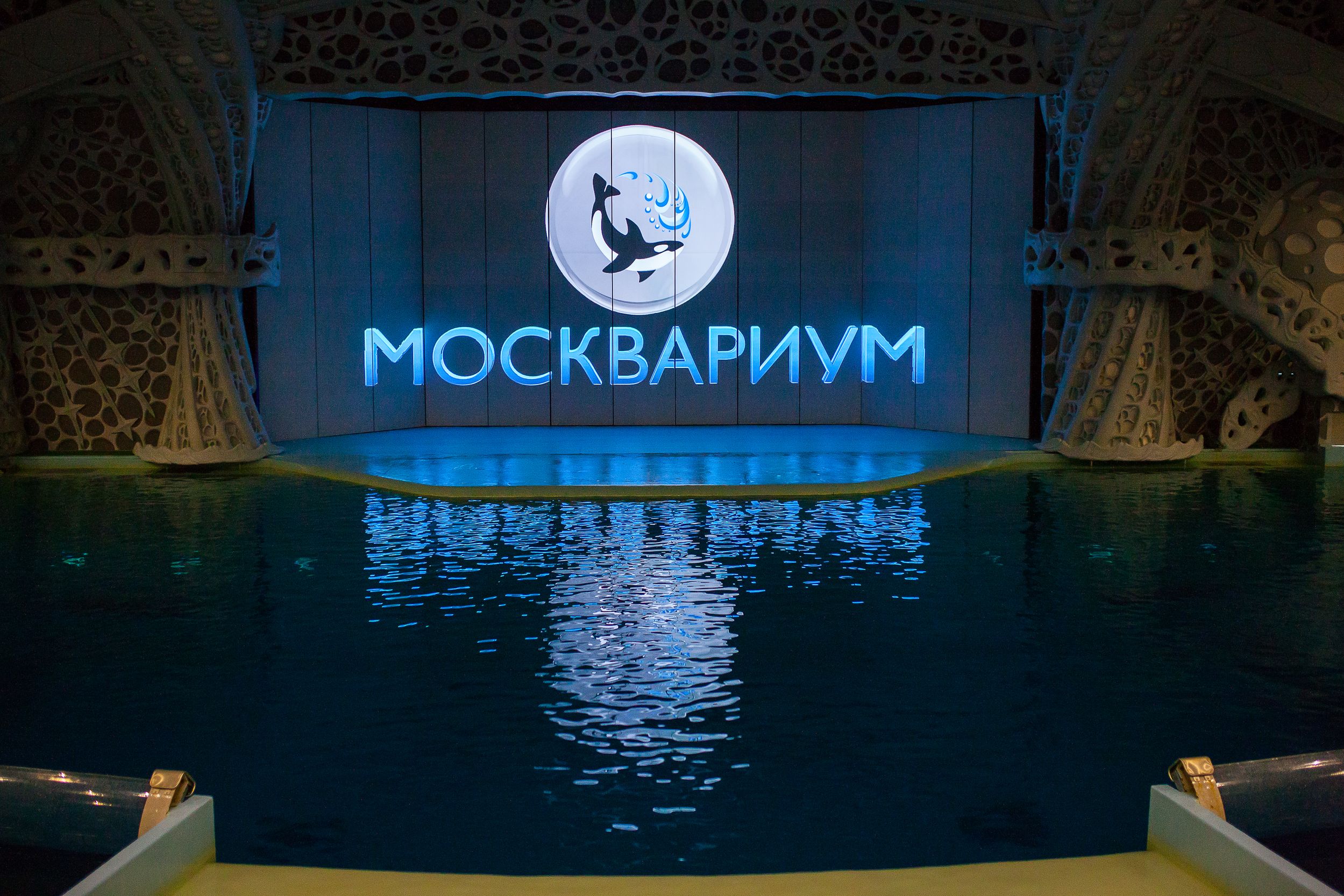 «Москвариум» объединяет юных исследователей океана со всей России