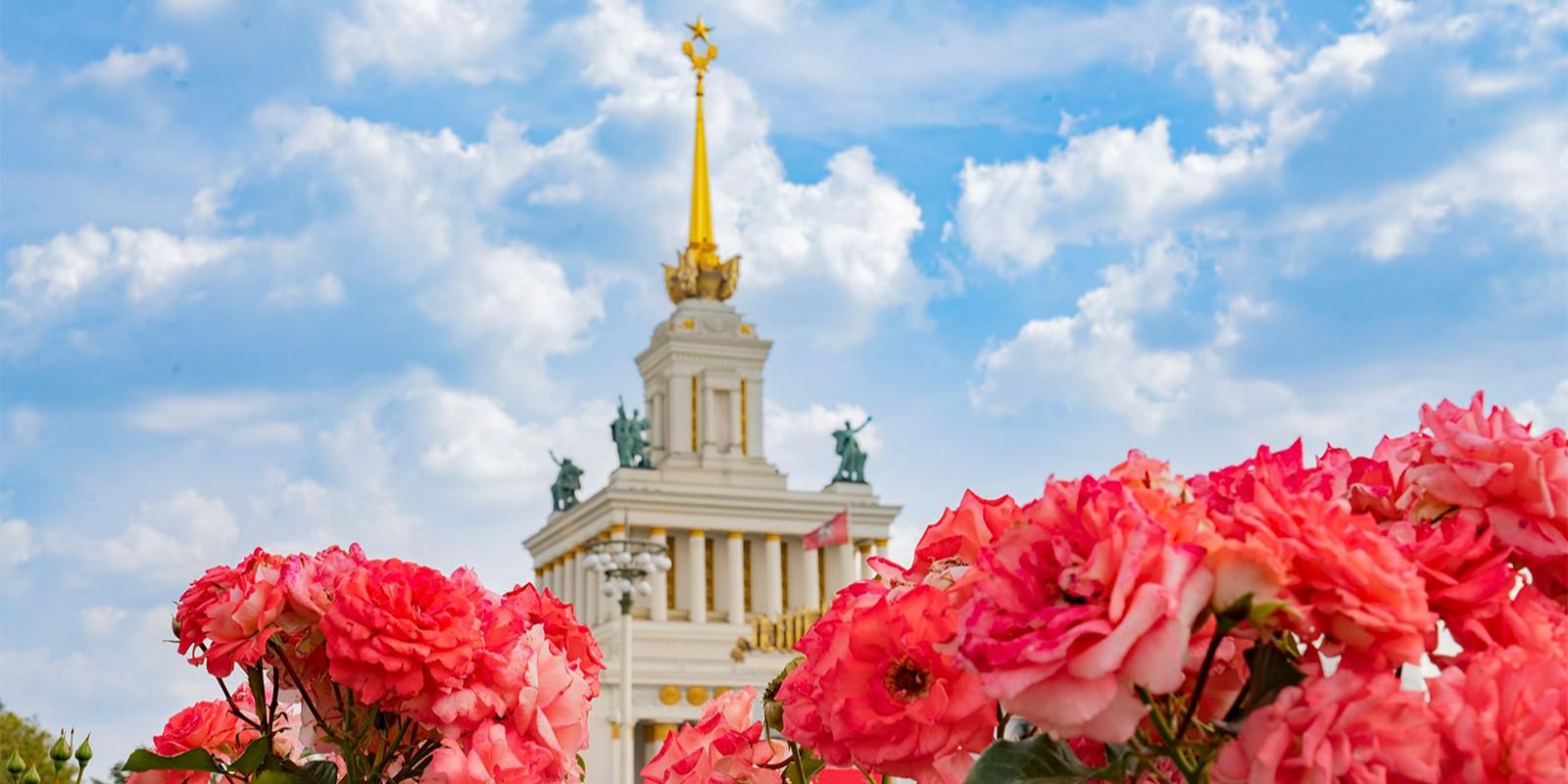 Бегонии, гортензии и розы зацвели на ВДНХ