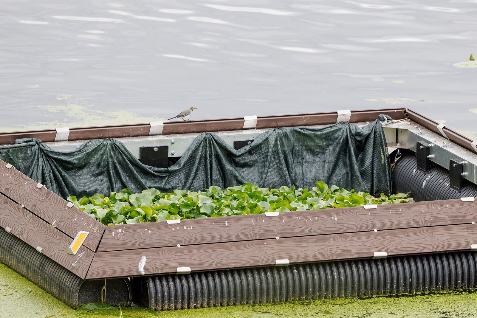 Биосорбционные модули уже работают на водоемах столицы. Фото: mos.ru/eco