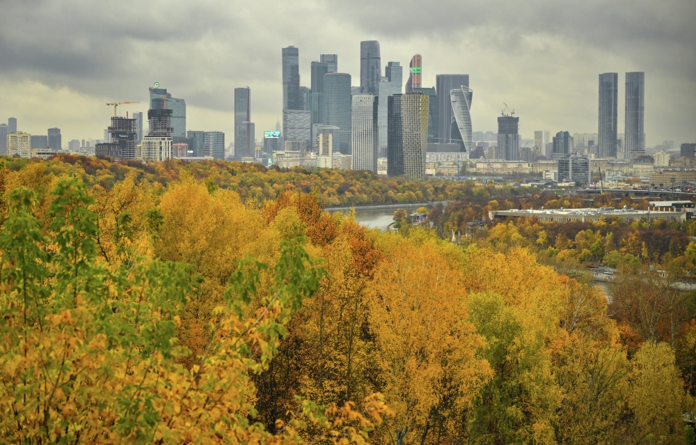 Более 100 руководителей сферы культуры соберутся на Директорской ложе Москвы